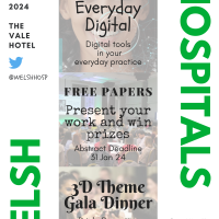 Welsh Hospitals 2024 Program